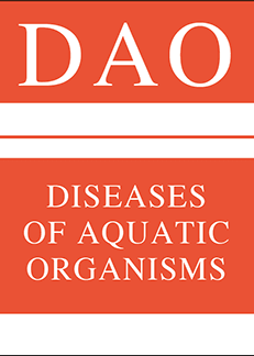 Publication cover image.