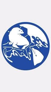 Publication cover image.