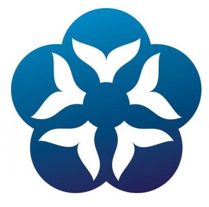 Publication cover image.