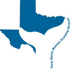 Image of Texas Marine Mammal Stranding Network.
