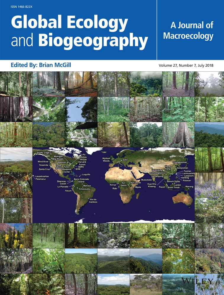 Publication cover image.