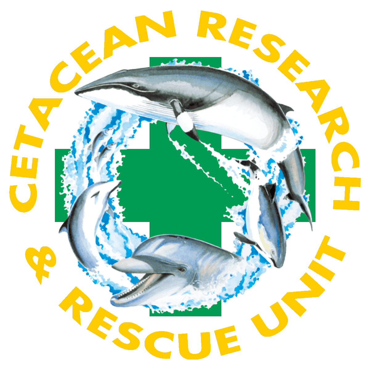 Publication cover image.