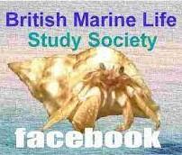 Image of British Marine Life Study Society (BMLSS).