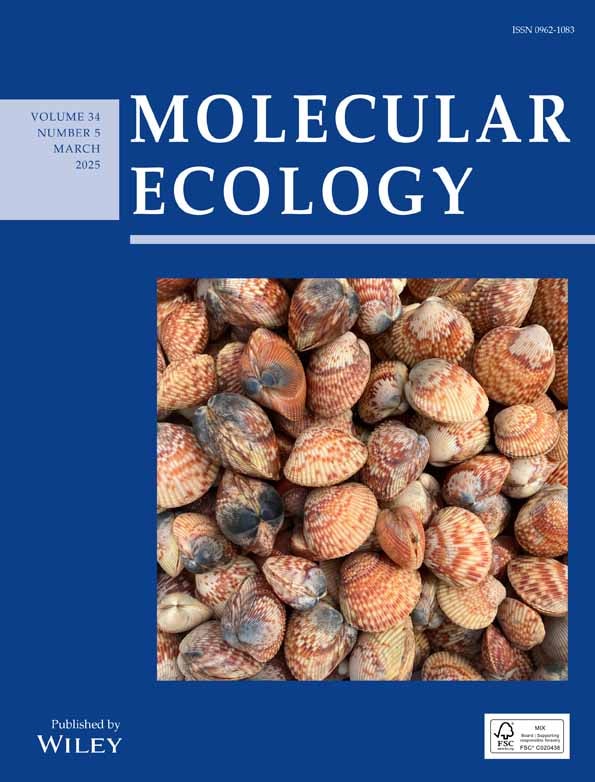 Publication cover image.