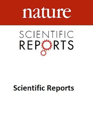 Publication cover image.