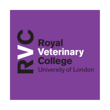 Publication cover image.