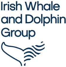 Image of Irish Whale and Dolphin Group (IDWG).