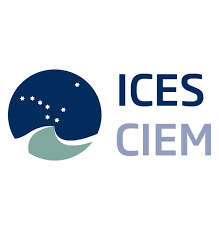 Publication cover image.