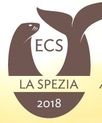 Publication cover image.