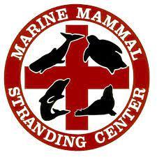 Image of Marine Mammal Stranding Center.