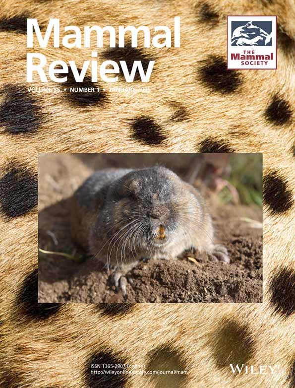 Publication cover image.