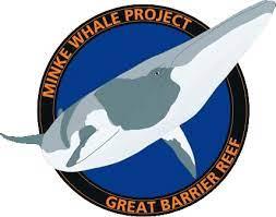 Image of Minke Whale Research, Great Barrier Reef, Australia.