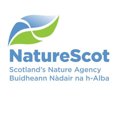 Publication cover image.