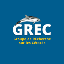 Image of Groupe de Recherche sur les Cétacés (GREC).