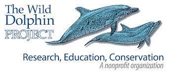 Image of The Wild Dolphin Project Bahamas.