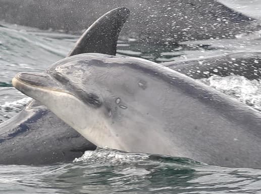 General photo of Lorena