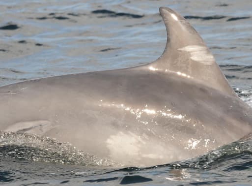 General photo of null