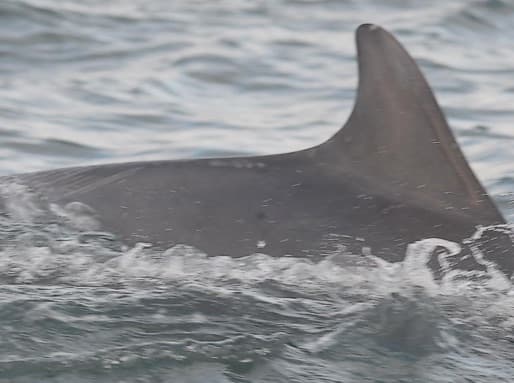 General photo of Lumma