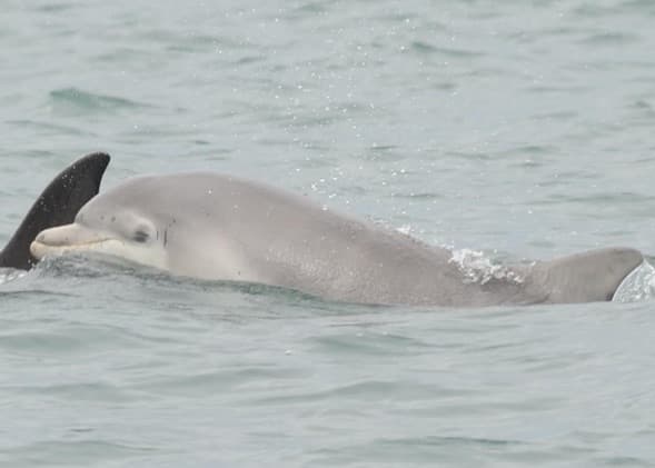 General photo of Bowie