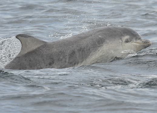 General photo of Eva