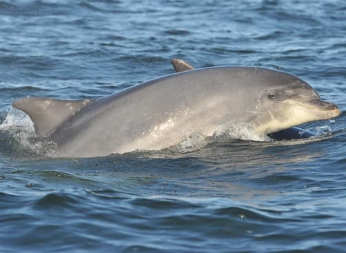 General photo of Danni D