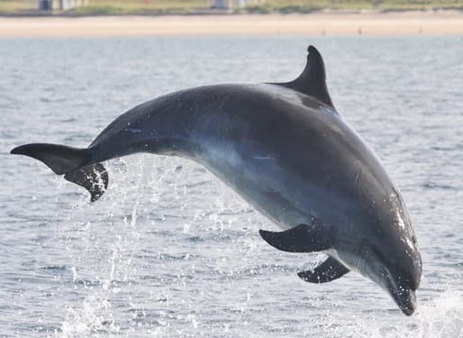 General photo of Prism