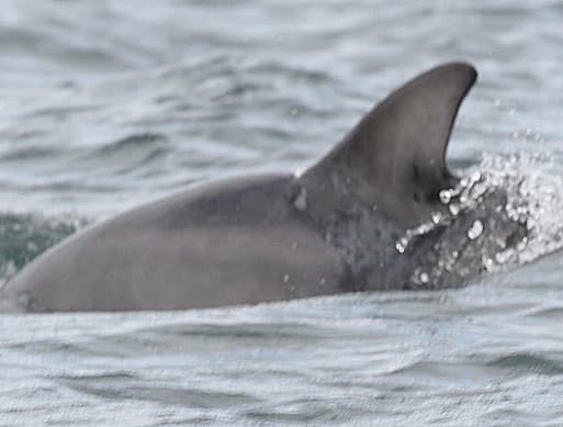 General photo of Fitri