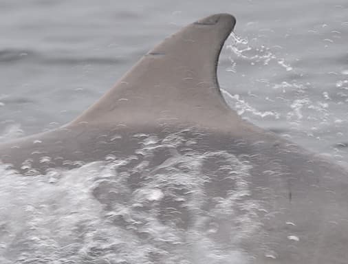 General photo of Banta