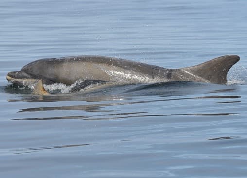 General photo of Claire