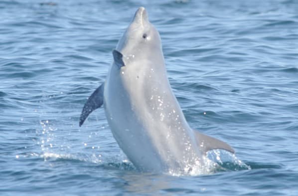 General photo of Rhianna