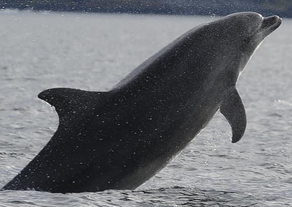 General photo of Lorena