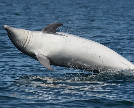 General photo of Ecy