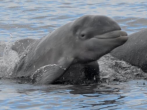 General photo of Tres