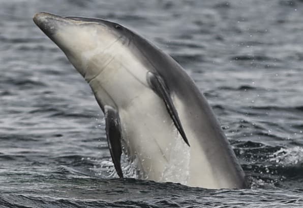 General photo of null