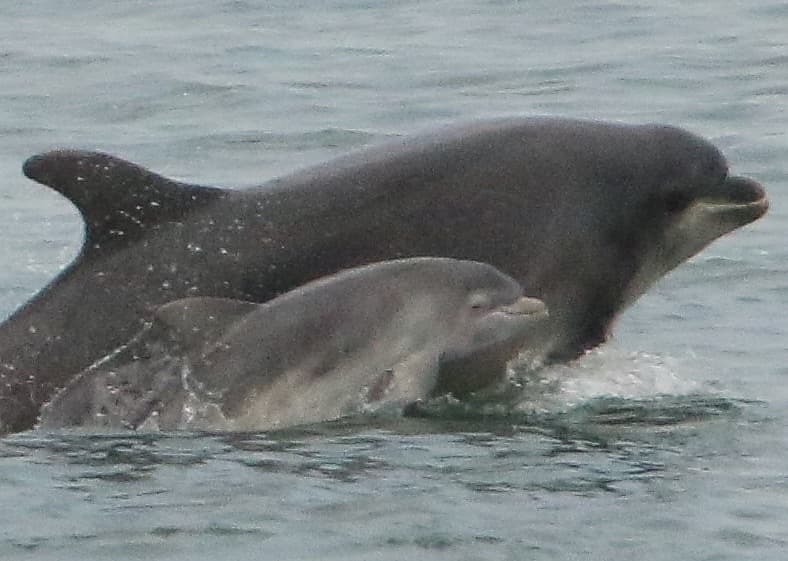 General photo of Trio