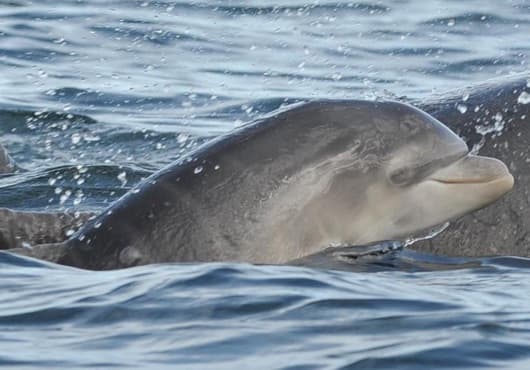 General photo of Ecy