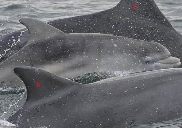 General photo of Alex Turner