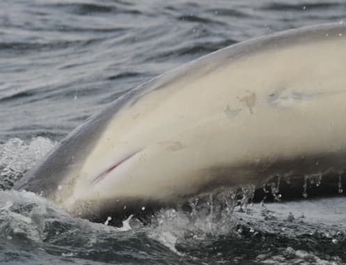 General photo of Avalon