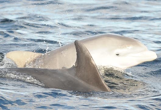 General photo of null