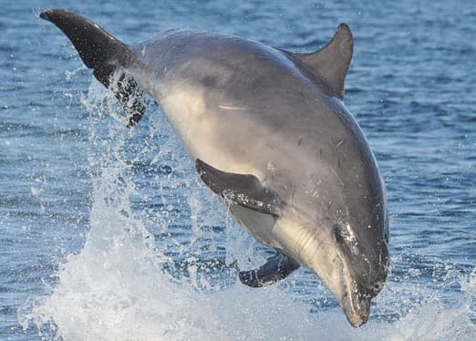 General photo of Prism