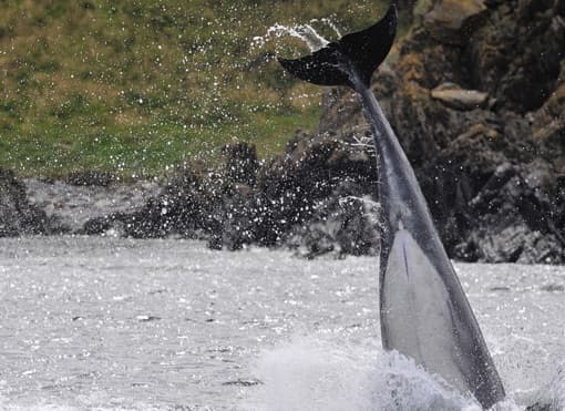 General photo of Geo