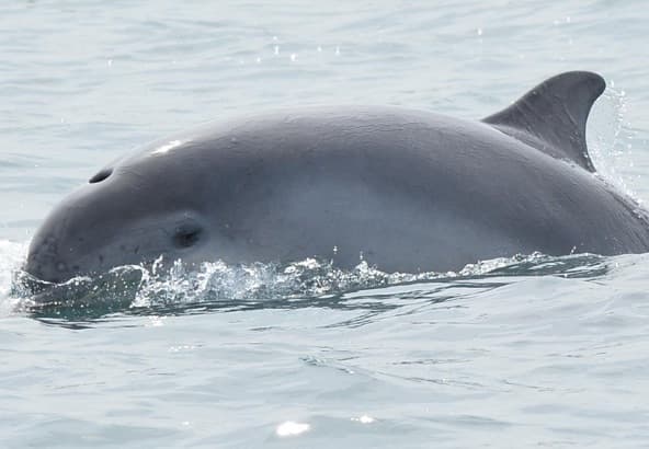 General photo of Eve