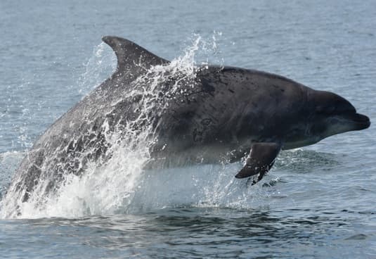 General photo of Ooti