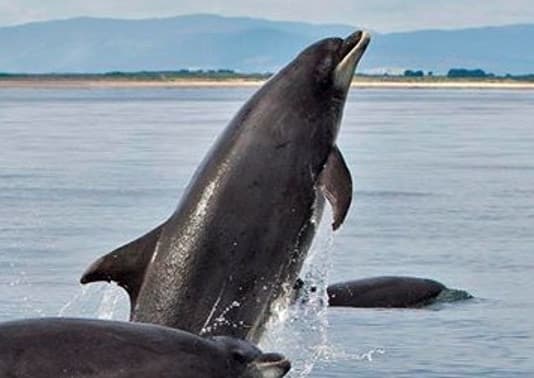 General photo of Summer