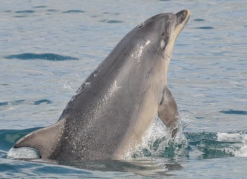 General photo of Marina