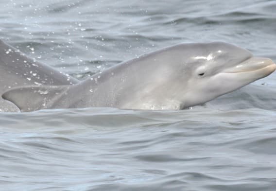 General photo of Bowie