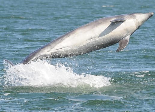 General photo of Ooti