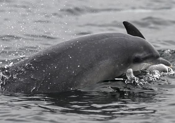 General photo of Eddy