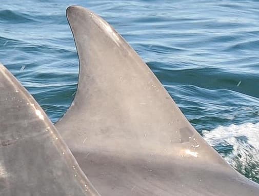 General photo of Lorena