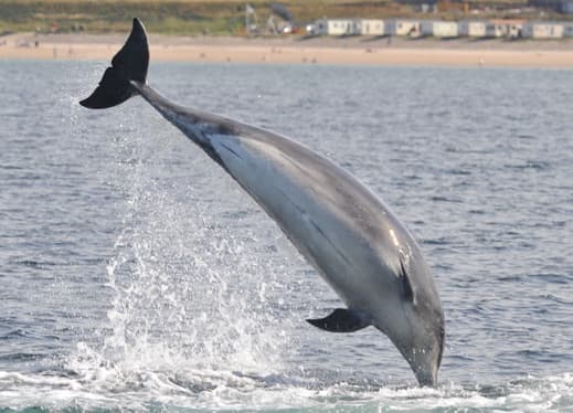 General photo of Prism